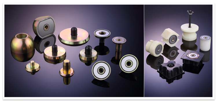 Embedded magnet