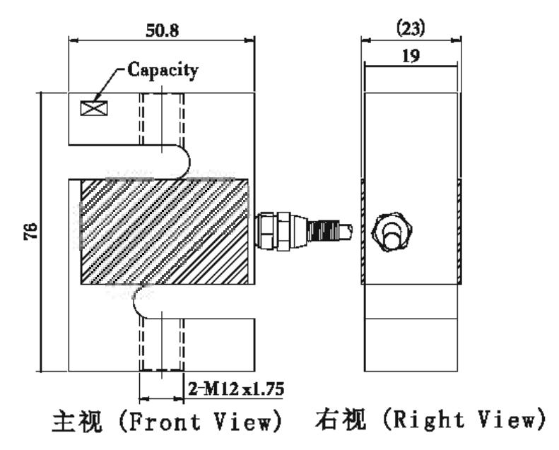 S type NS1 