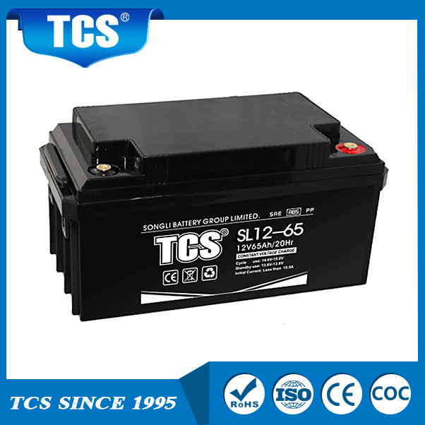 铅酸UPS储存太阳能电池SL12-65 TCS电池