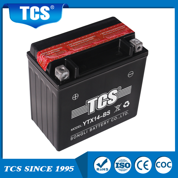 TCS干荷免维护电池YTX14-BS