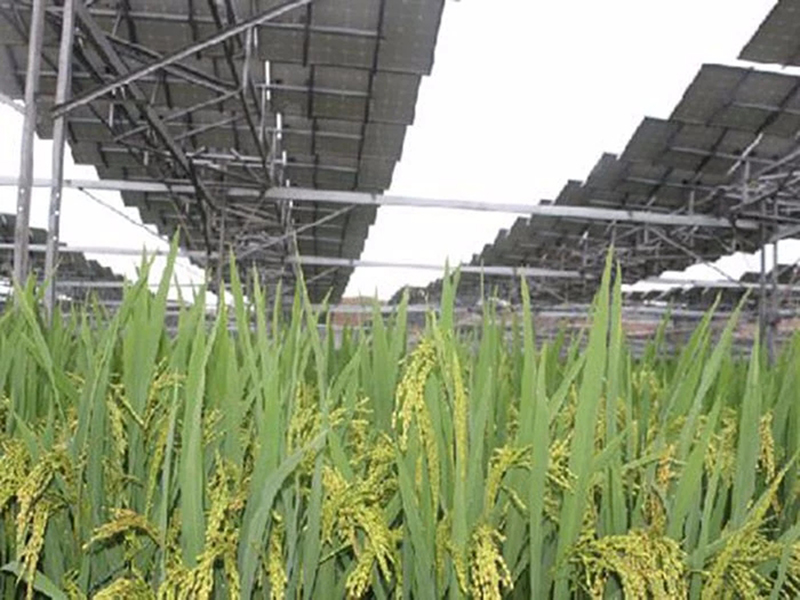 太阳能电池用安装结构（三脚架类型）