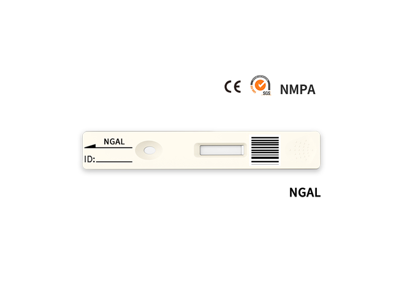NGAL快速定量测试