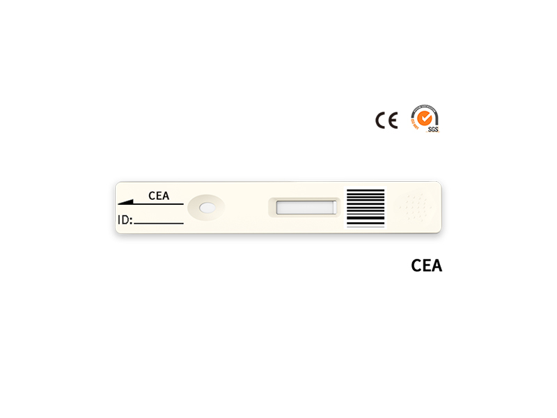 CEA快速定量测试