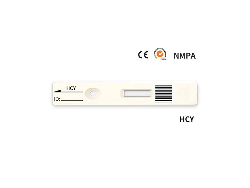Hcy快速定量测试