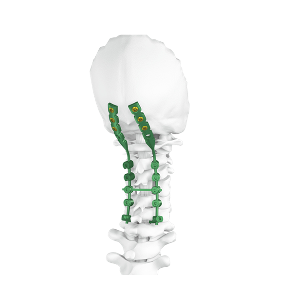 枕骨后颈椎螺钉系统