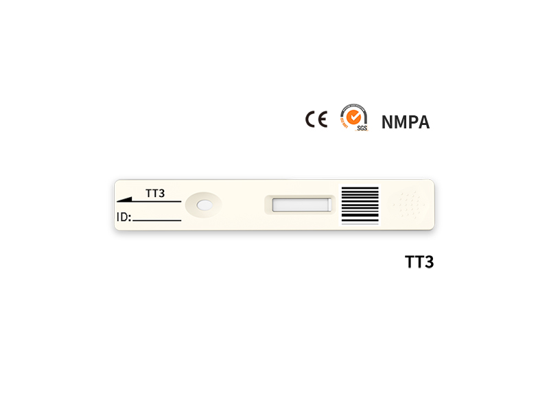 TT3快速定量测试