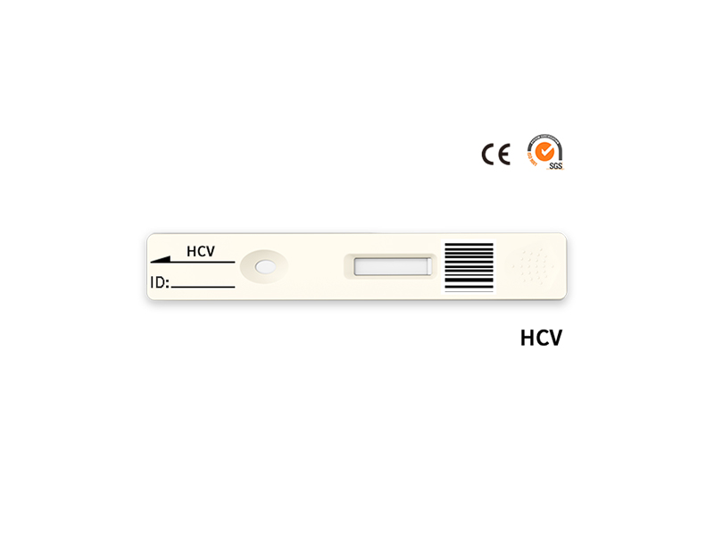 HCV快速定量测试